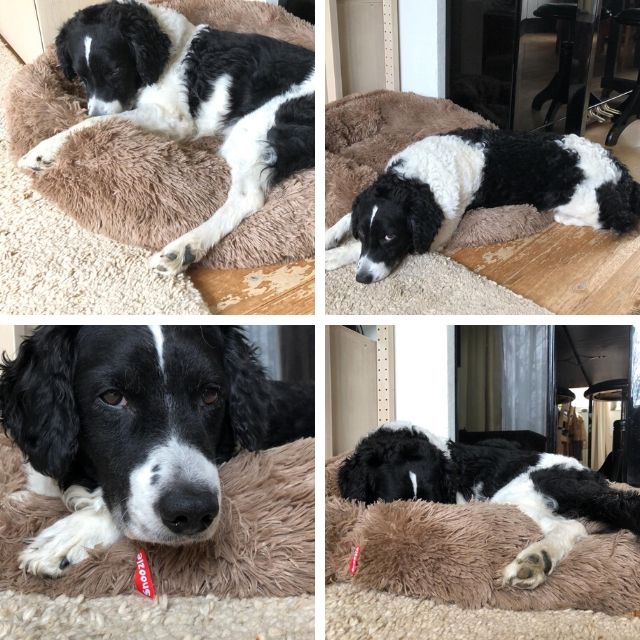 Hondenmand Snoozle Milano - Superzacht, Fluffy en Luxe