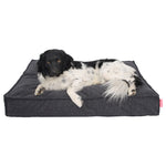 Snoozle Hondenkussen Amsterdam - Orthopedisch