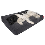 Snoozle Hondenkussen Amsterdam - Orthopedisch