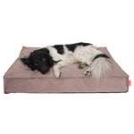 Snoozle Hondenkussen Amsterdam - Orthopedisch