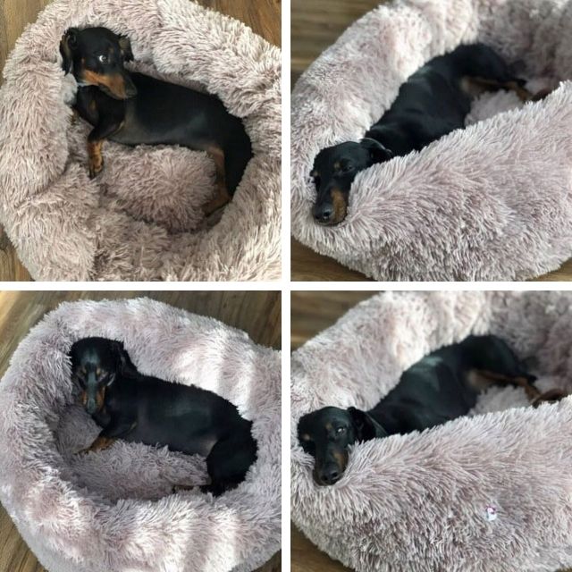 Hondenmand Snoozle Milano - Superzacht, Fluffy en Luxe